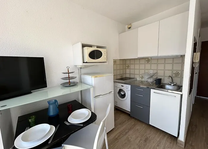 Studio Cabine A Sete Avec Terrasse Et Climatisation - Fr-1-338-106